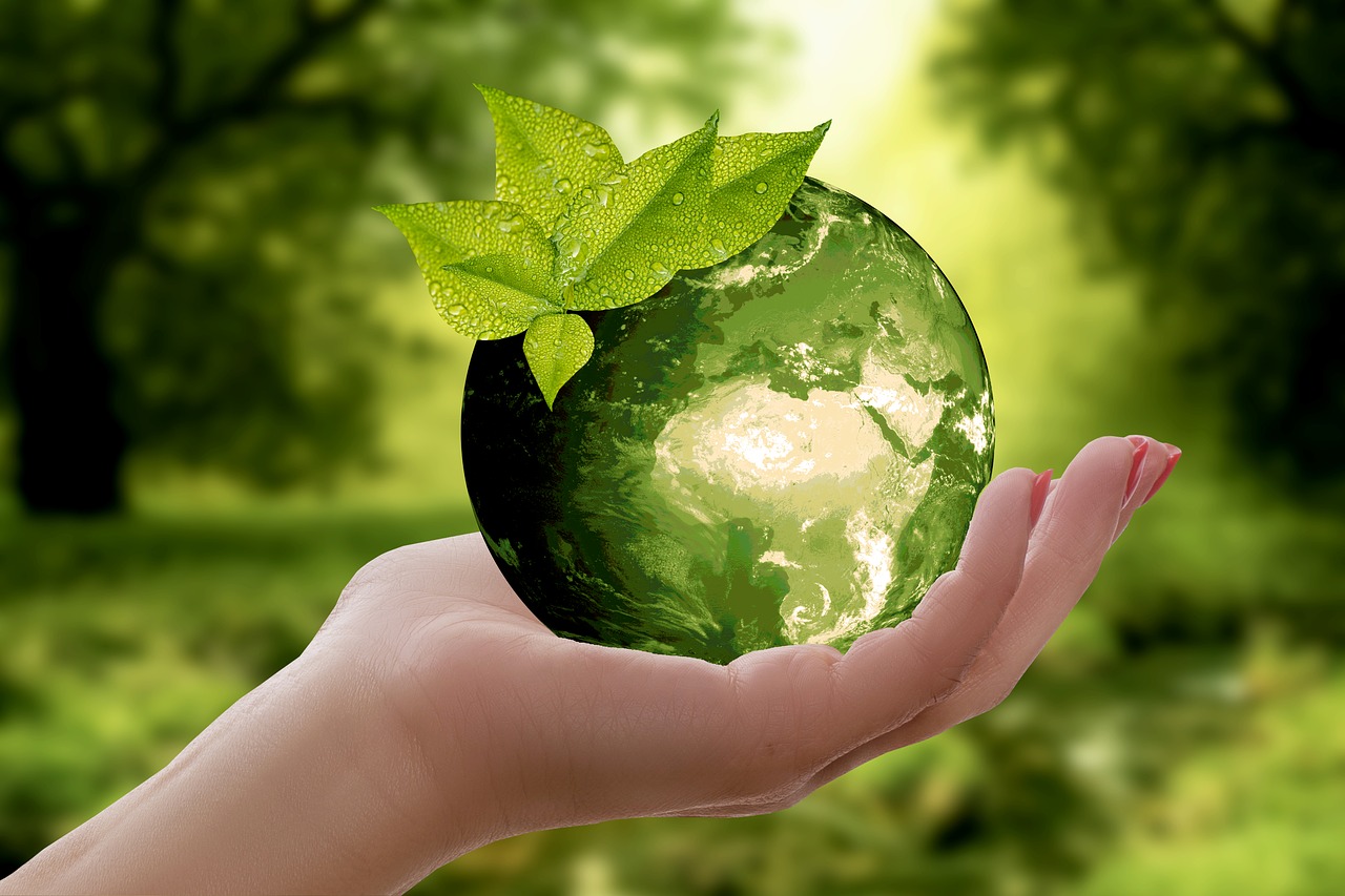 Sustainability – What and How to Make Yours Sustainable?